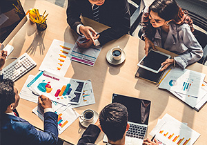 Business & Audit Services