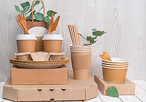 Paper & Paper Products